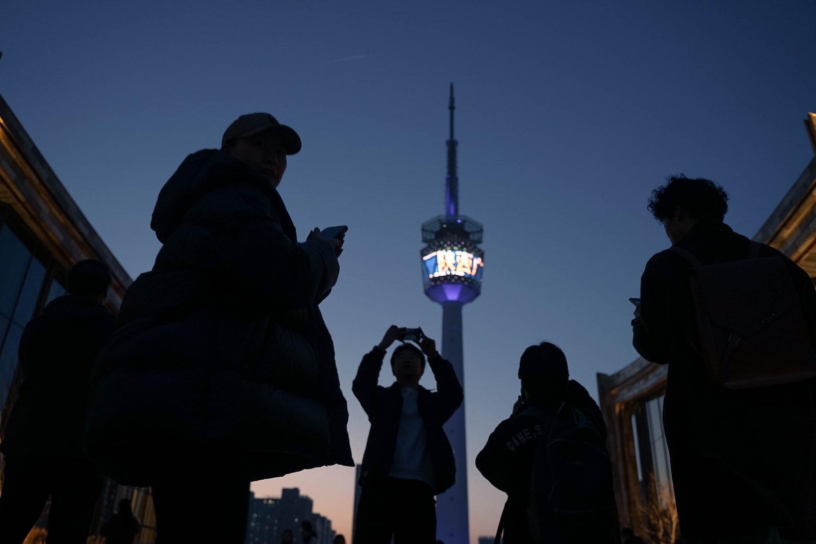 生命之树·夜色